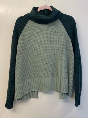 Madewell Two-Tone Sage and Forest Green Turtleneck Sweater
